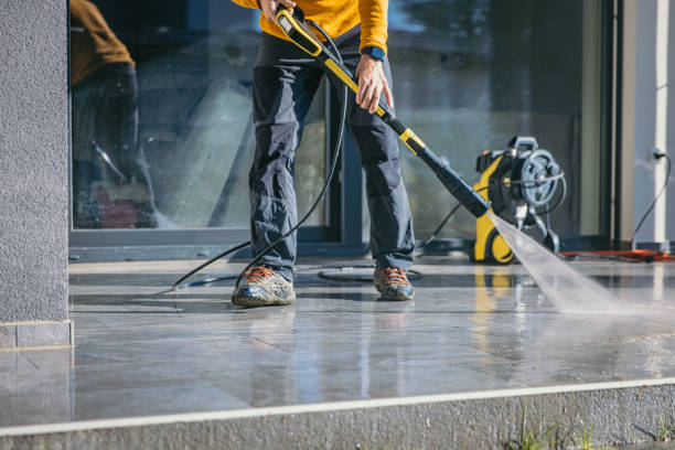 Best Rust Removal  in Ridge Manor, FL